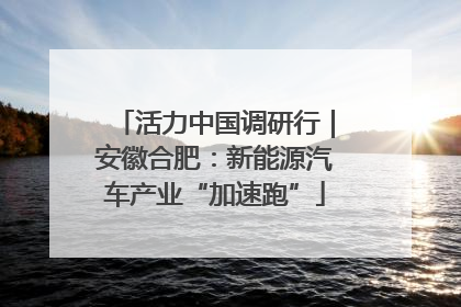 活力中国调研行｜安徽合肥：新能源汽车产业“加速跑”